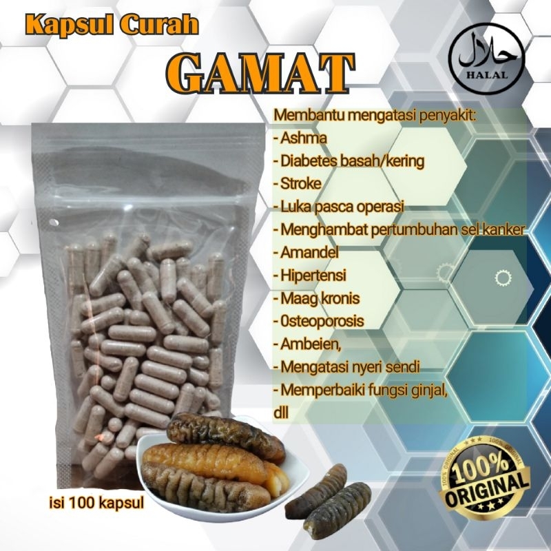 GAMAT Emas isi 100 kapsul curah