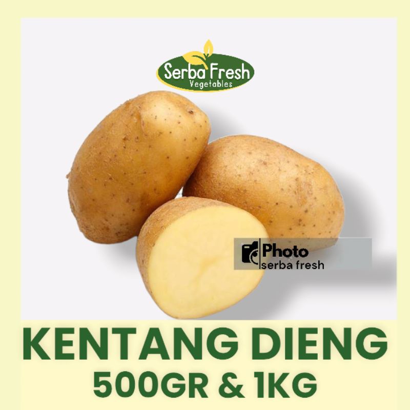 KENTANG DIENG SEDANG | 500GR &amp; 1 KG | SERBA FRESH