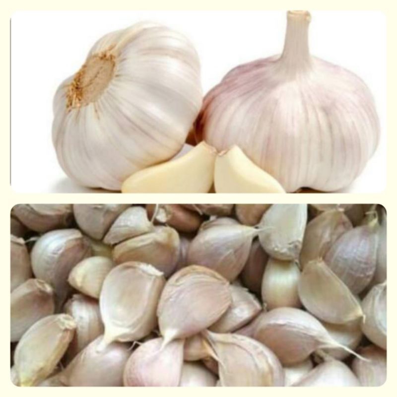 

Bawang putih Garlic bonggol berat 500Gram