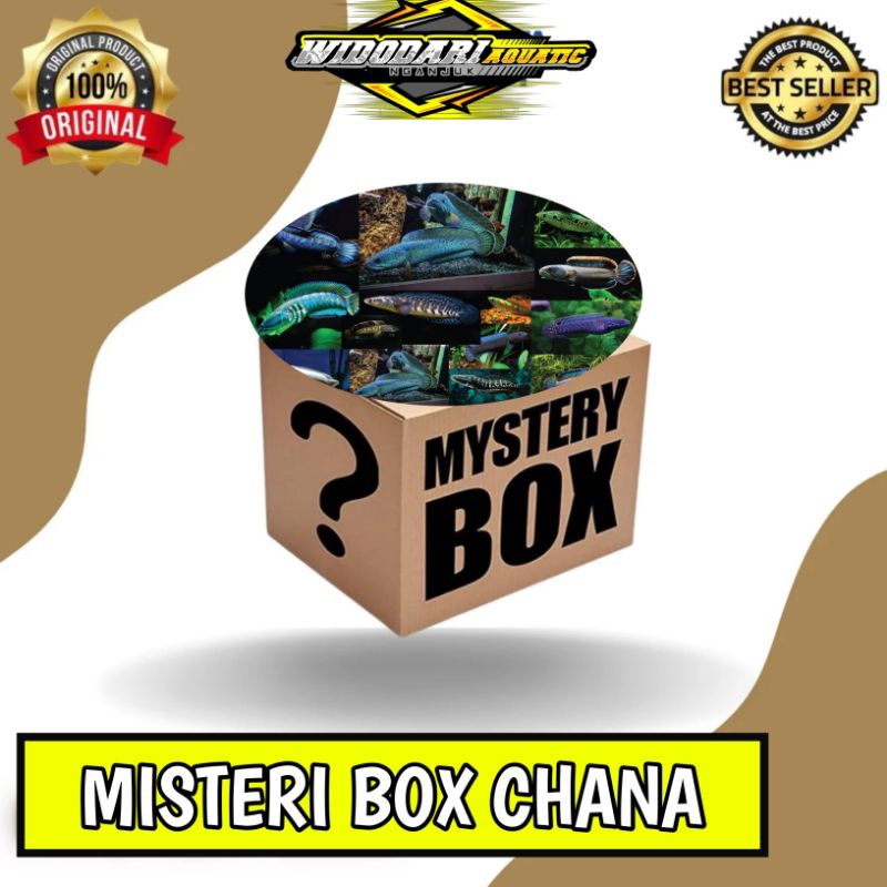 Box mystery chana kualitas cakep