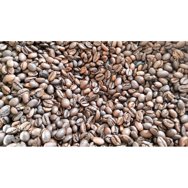 

Kopi Asli Gayo Aceh