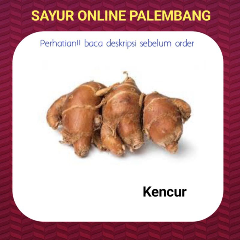 

Kencur Segar 100gram - Pasar Toko Sayur Bumbu Online Palembang