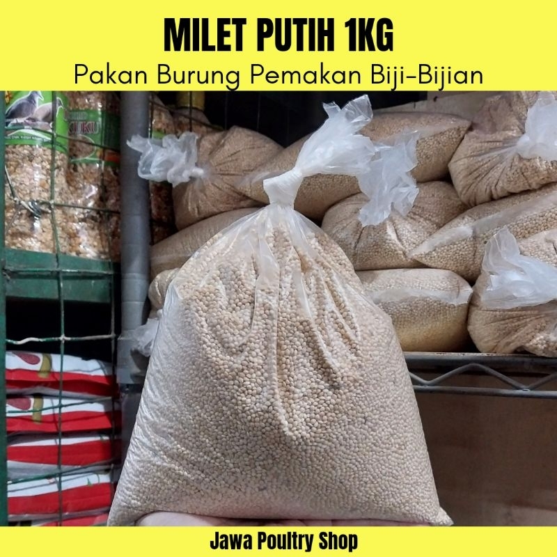 MILET PUTIH KILOAN - Pakan Lovebird Parkit Burung Pemakan Biji-Bijian