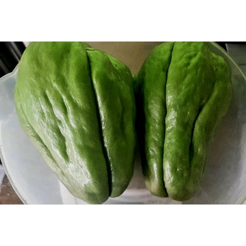 

Ready Stock Labu Siam Siap Kirim