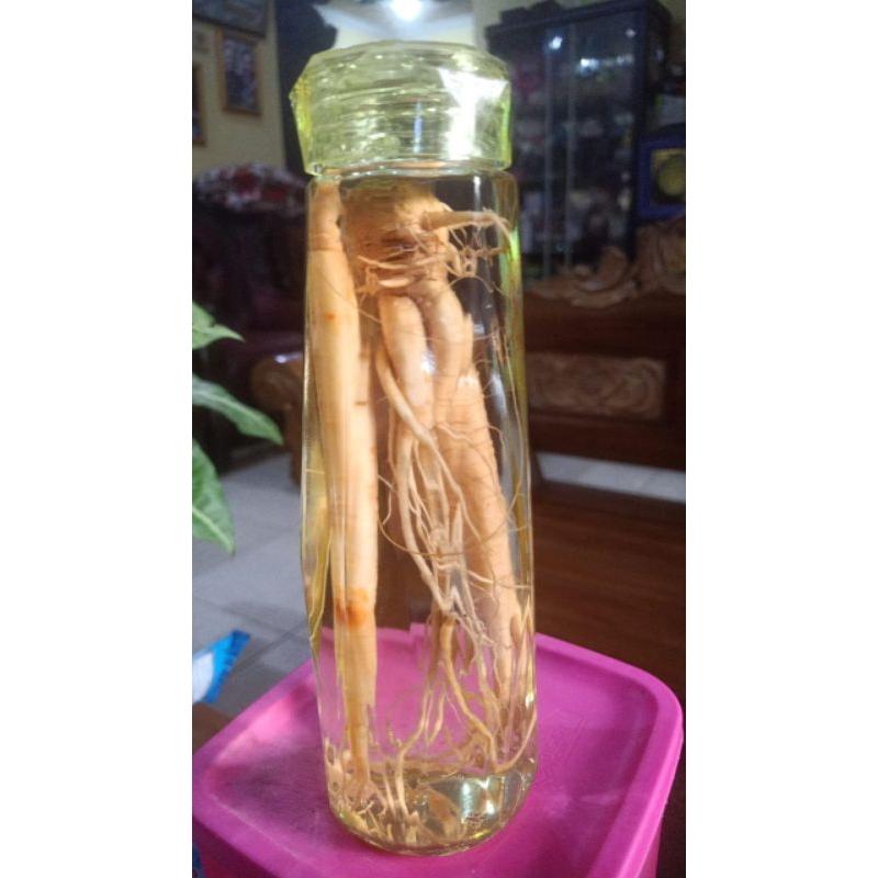 

Gingseng merah korea + Botol 500mil