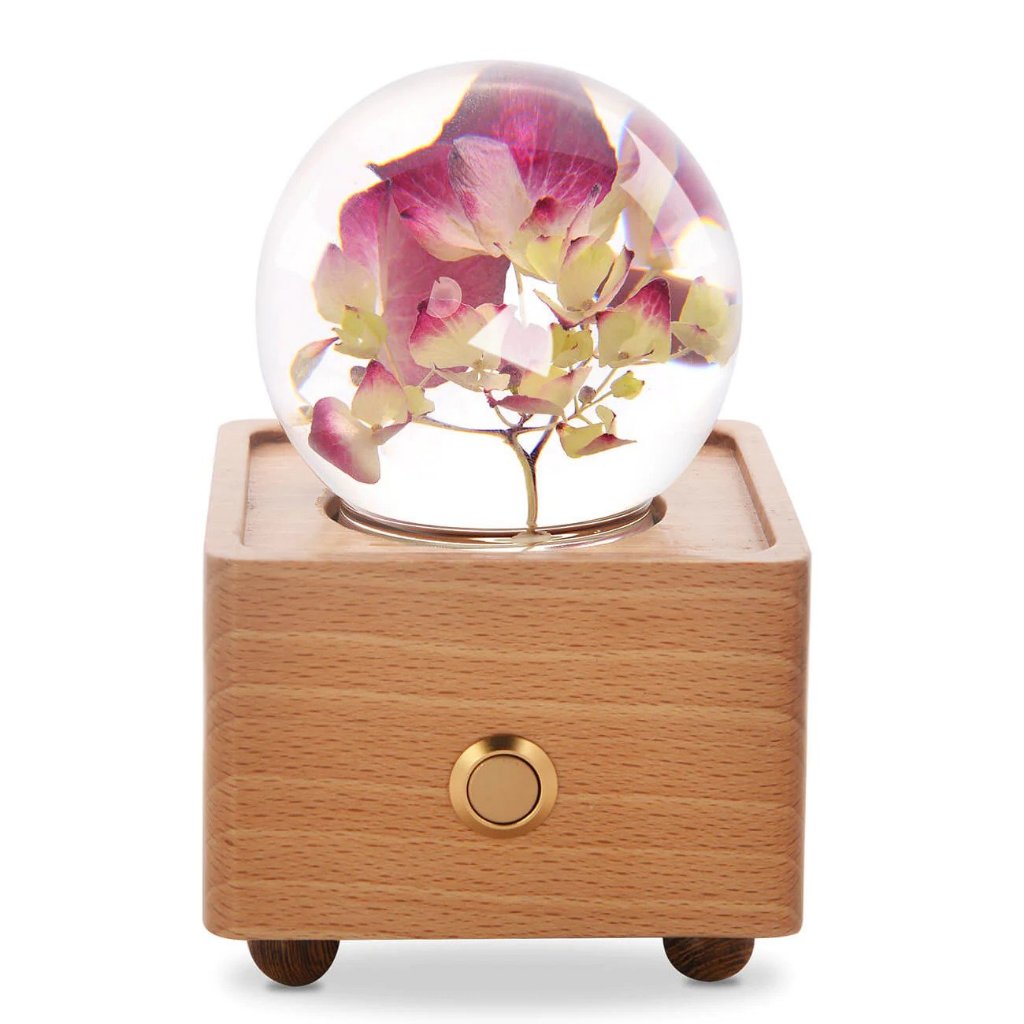 Preserved Flower Bluetooth Speaker - The Beginning Indonesia - Kado Pacar Sahabat Pasangan Cewek Cewe - Untuk Ulang Tahun Anniversary