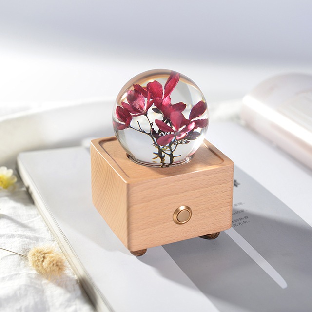 Preserved Flower Bluetooth Speaker - The Beginning Indonesia - Kado Pacar Sahabat Pasangan Cewek Cewe - Untuk Ulang Tahun Anniversary