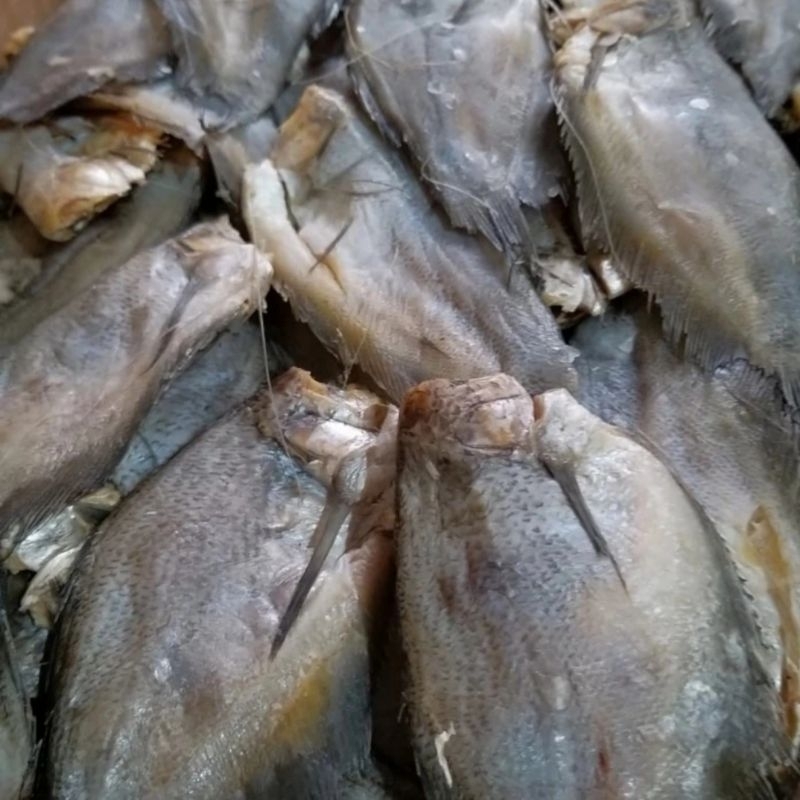 

IKAN SEPAT 100 GRAM