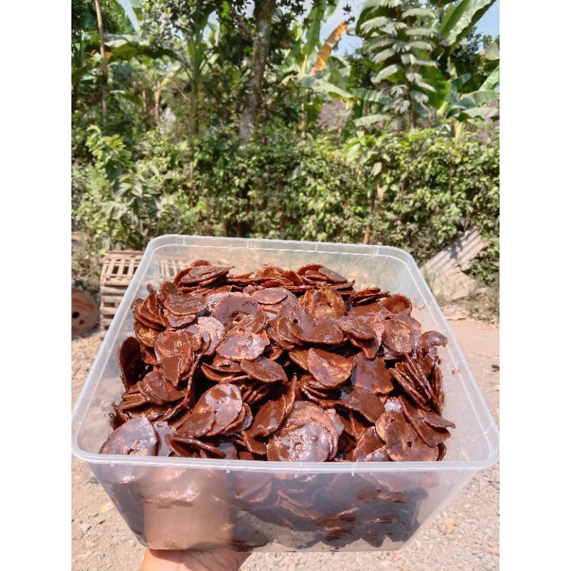 

Keripik Pisang Lumerr 1Kg