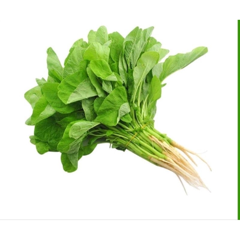 

Bayam hijau segar 200gram /ikat