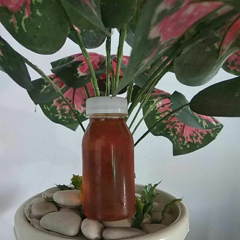 

madu hutan alami 150ML