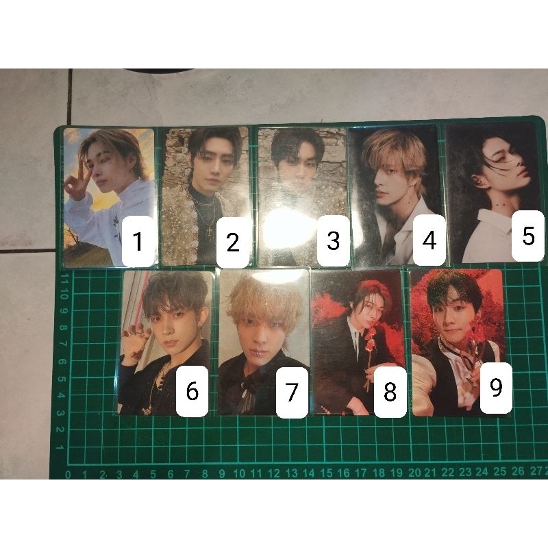 ENHYPEN DARK BLOOD OFFICIAL PC