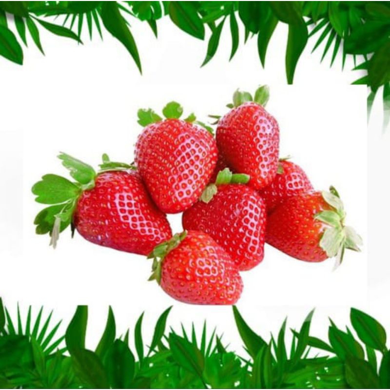 

STRAWBERRY - (1 mika)