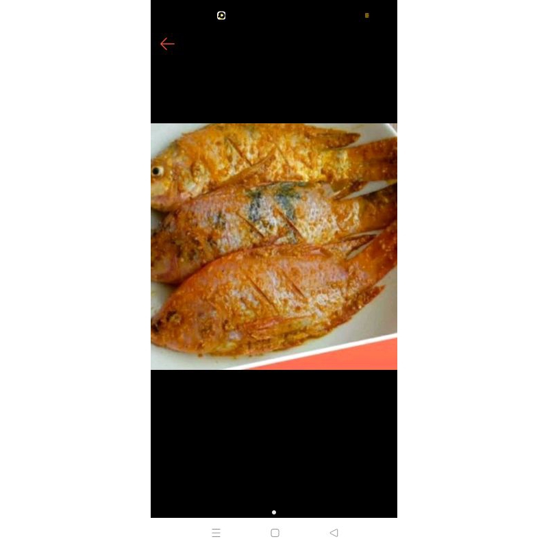 

ikan nila bumbu kuning 500gram