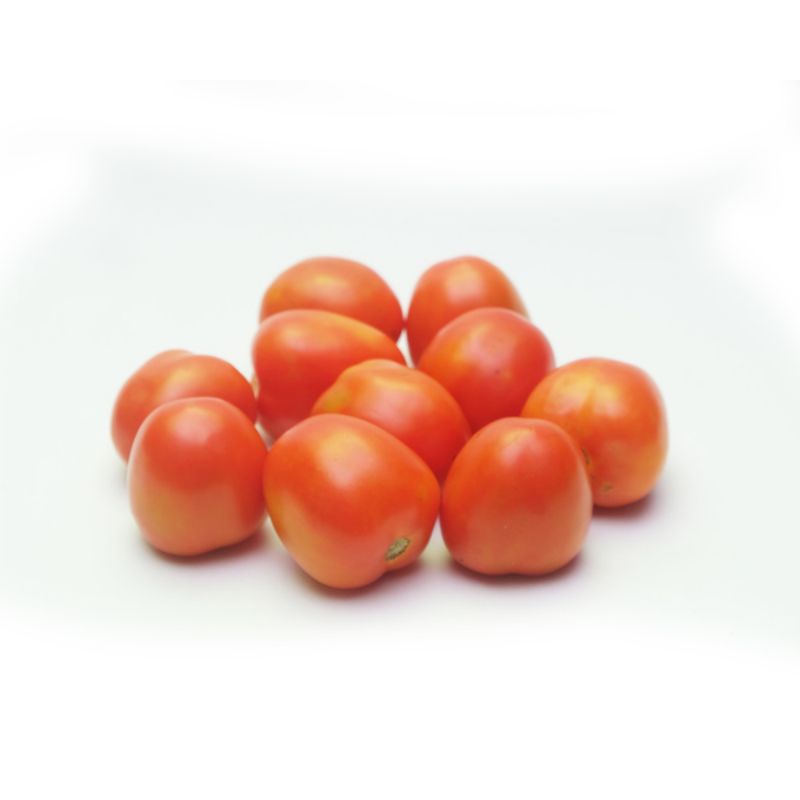 

tomat buah