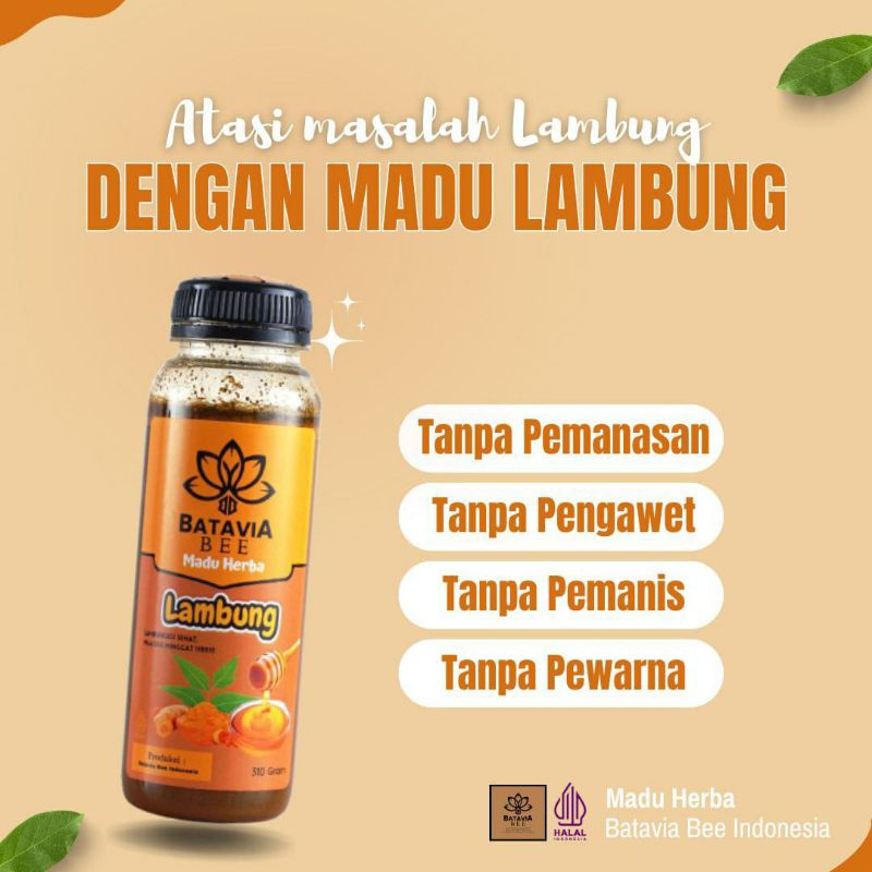 

Madu Lambung by Batavia Bee solusi untuk penyakit asam lambung gerd 310gr