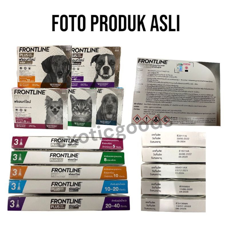 OBAT KUTU ANJING OBAT KUTU KUCING OBAT KUTU HEWAN OBAT KUTU UNTUK ANJING OBAT KUTU UNTUK KUCING OBAT