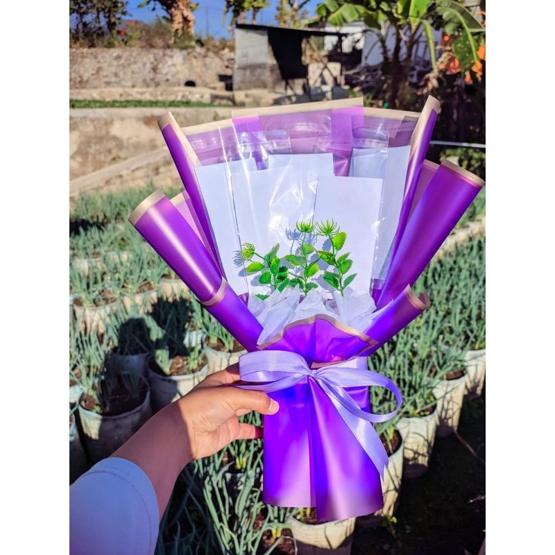 buket uang kosongan 5 lembar/ money bucket/ buket wisuda/hadiah ulangtahun