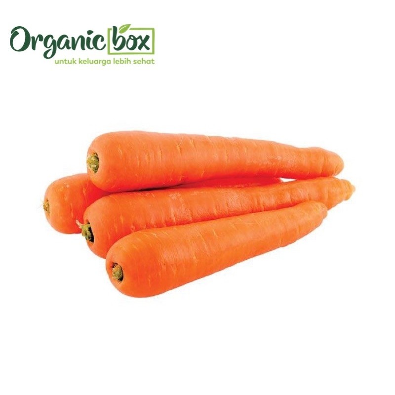 

wortel organik quality farm