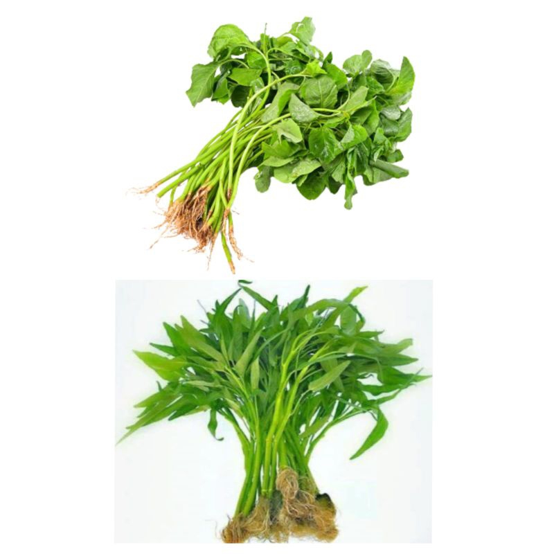 

Bayam & kangkung per ikat