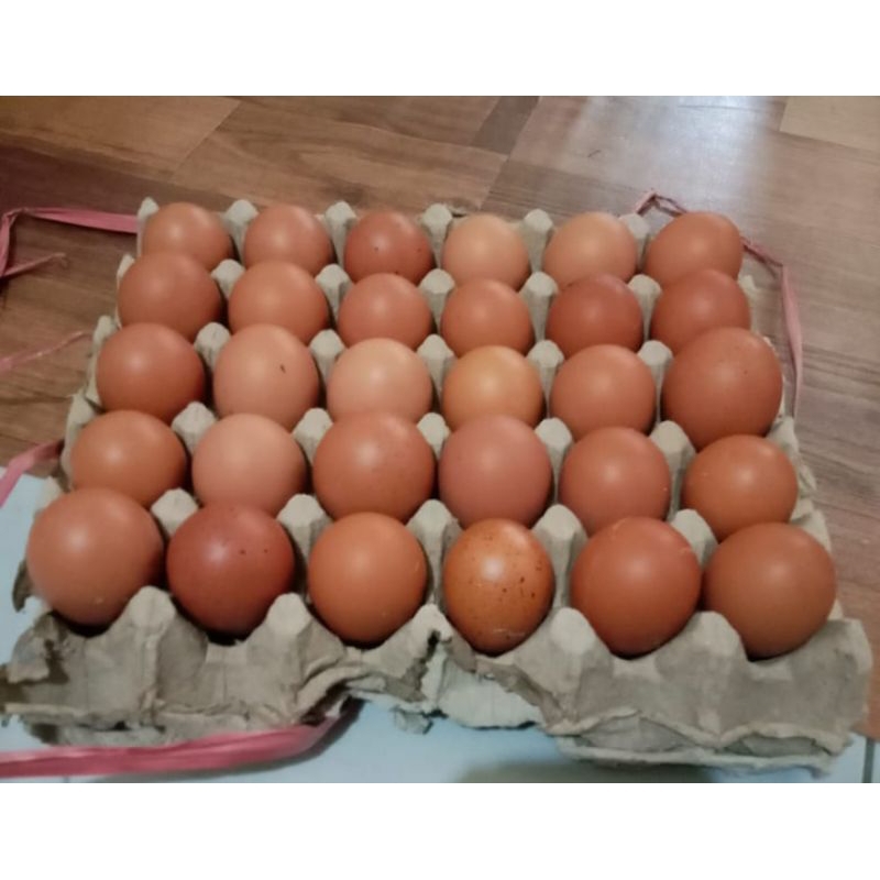 Telur Ayam Negeri 1 Tray