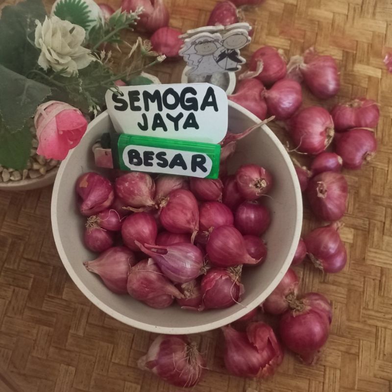 

Bawang merah SUPER 1KG