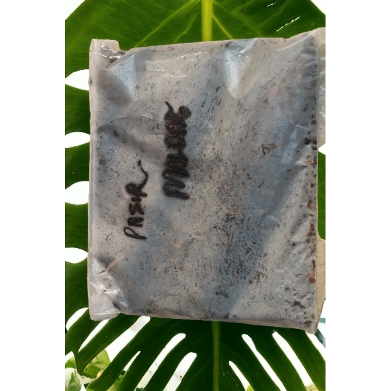 pasir malang 1kg