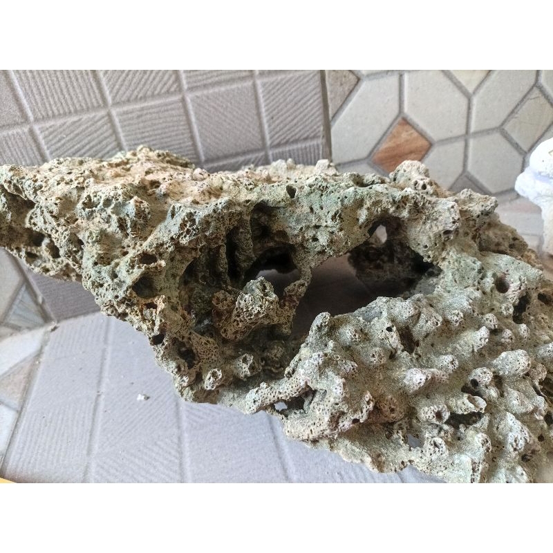 Batu karang Besar jumbo batu karang lau 39cm lubang besar