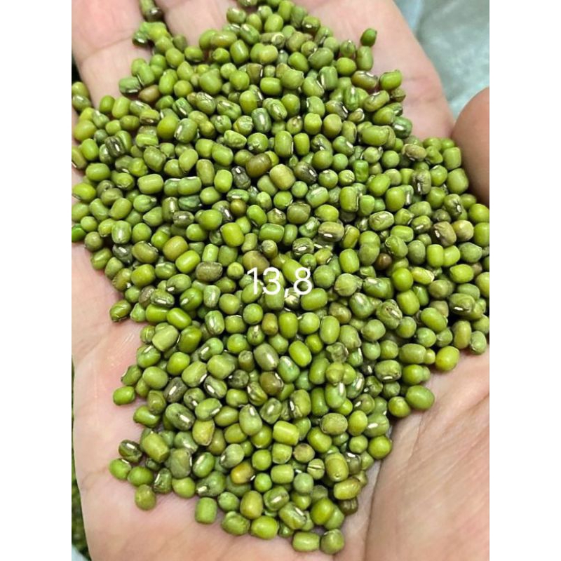 

kacang ijo NSA 13,3 (255 pcs)