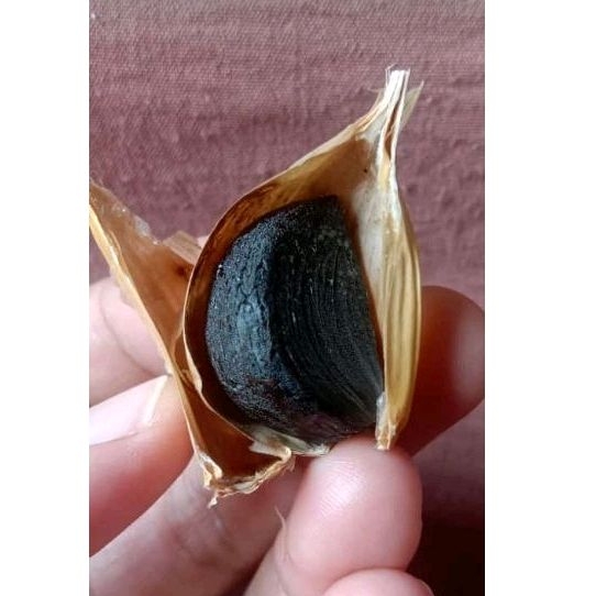 

Bawang hitam kating