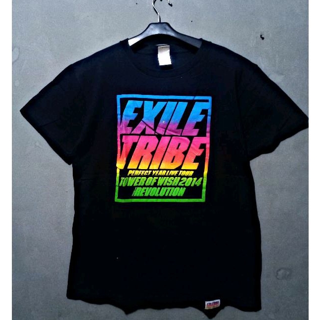 EXILE TRIBE PERFECT YEAR 2014