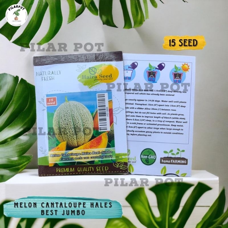Benih Bibit Buah Melon Cantaloupe Hales Best Jumbo Haira Seed - MELON CANTALOUPE HALES BEST JUMBO