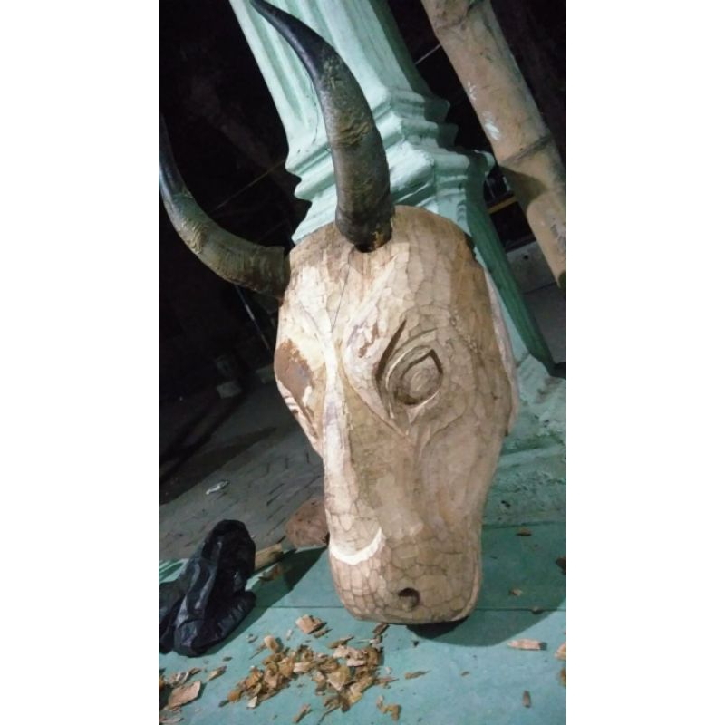 putian banteng untuk anak anak