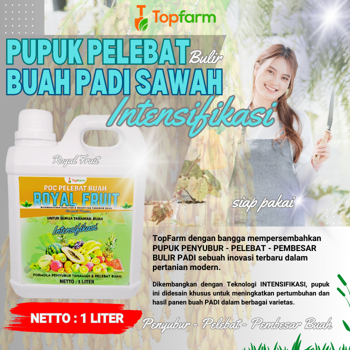 Pupuk Pelebat Buah / Pupuk Semprot Khusus Padi / Obat Padi Sawah / Obat Padi Biar Buah Berbobot / Ob