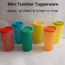 MINI TUMBLER (BOTOL MINUM TUPPERWARE ORI)