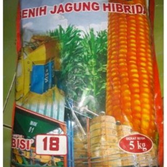 Benih jagung hibrida BISI 18 berat 5kg