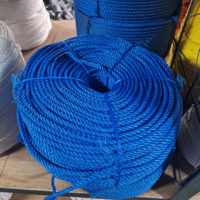

Tali Tampar Plastik 6 mm Sea Gull - harga per roll
