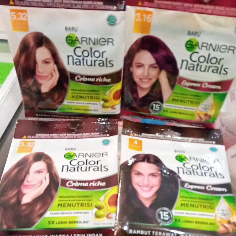 Garnier Pewarna Rambut