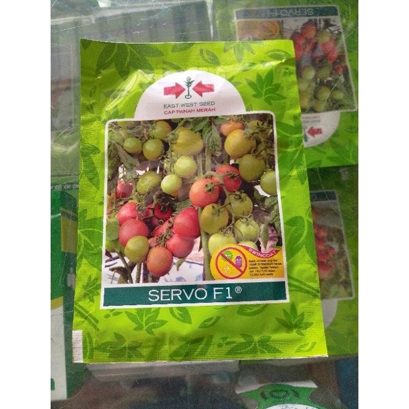Benih Tomat Servo