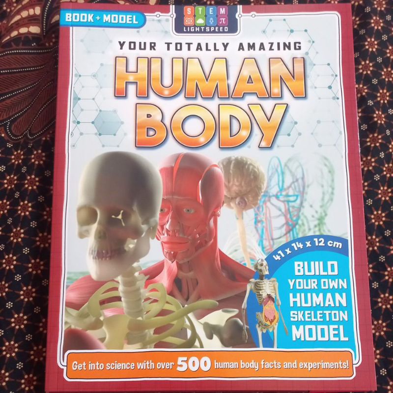 

Buku BBW Your totally amazing human body STEM Built Your Own Human Skeleton Model