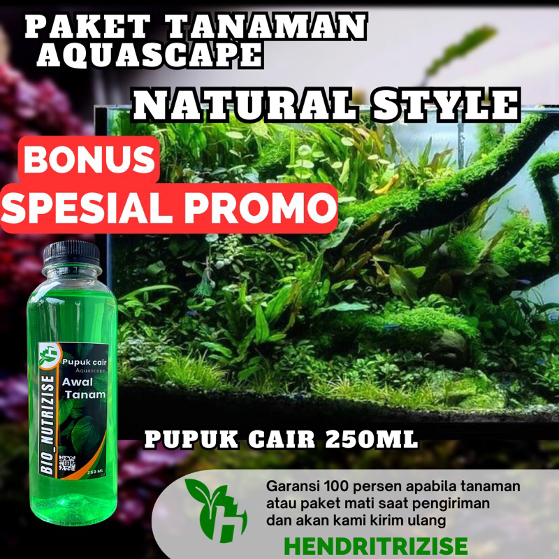 Paket Tanaman Aquascape Natural Style - Tanaman Aquascape