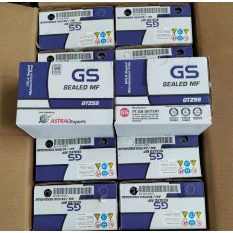 PERDUS ISI 10PCS AKI KERING GS ASTRA OTOPARTS GTZ5S  HONDA BEAT / VARIO 110 / MIO / SUPRA X 125 YAMA