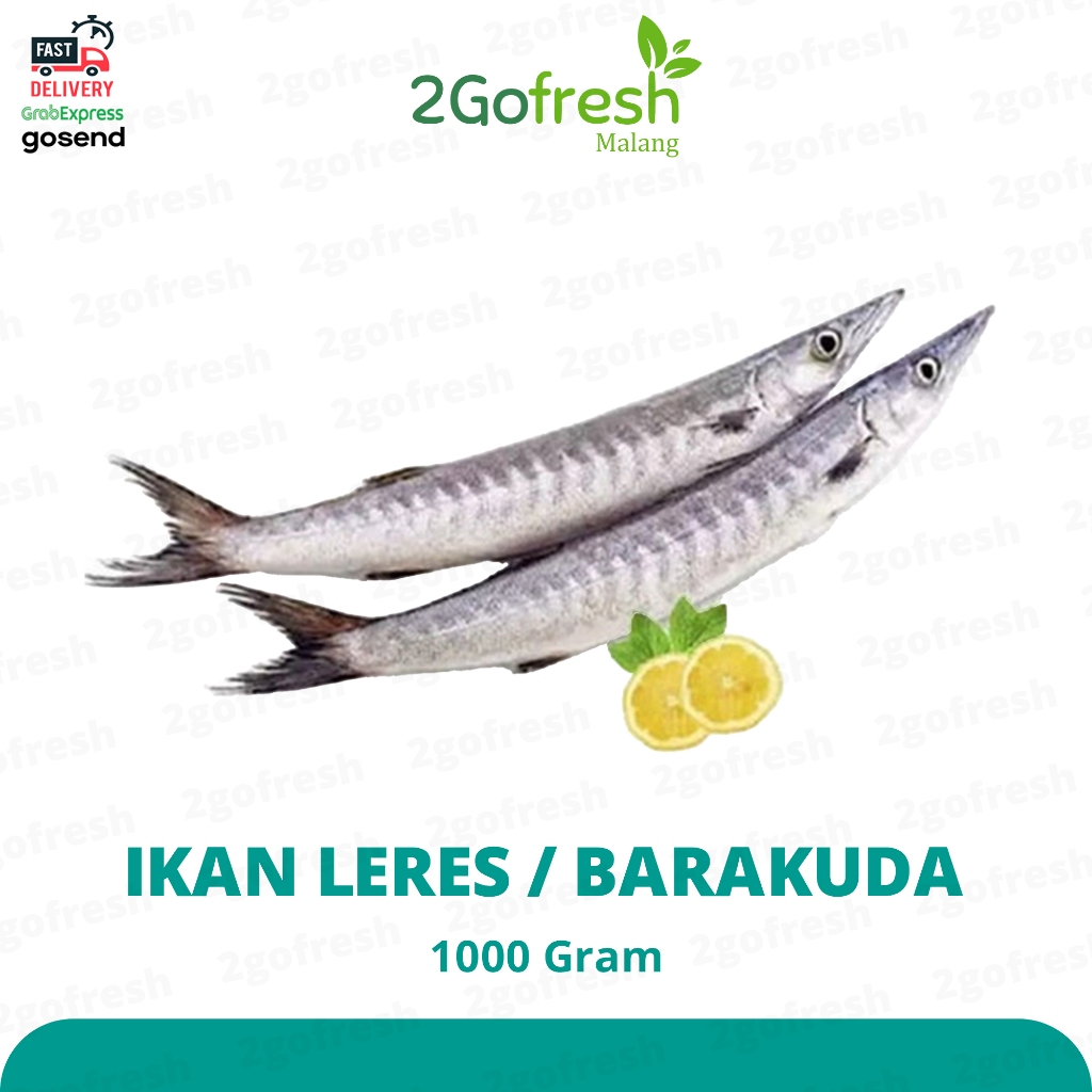 

Ikan Leres / Tunul / Barakuda / Barracuda ( Potongan ) Fresh - Sayur Sayuran ikan