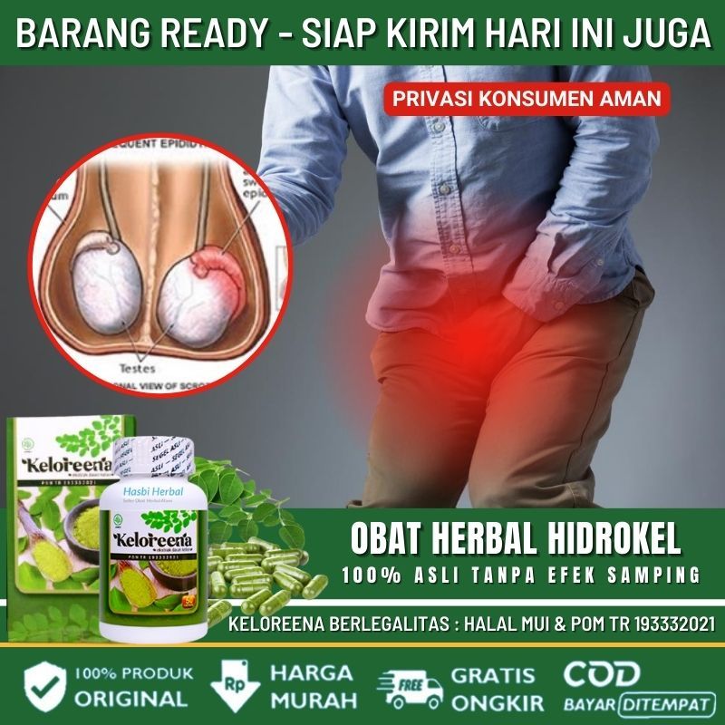 Kapsul Keloreena Obat Herbal Untuk Pengobatan Buah Zakar Bengkak, Obat Penghilang Nyeri di Biji Kela
