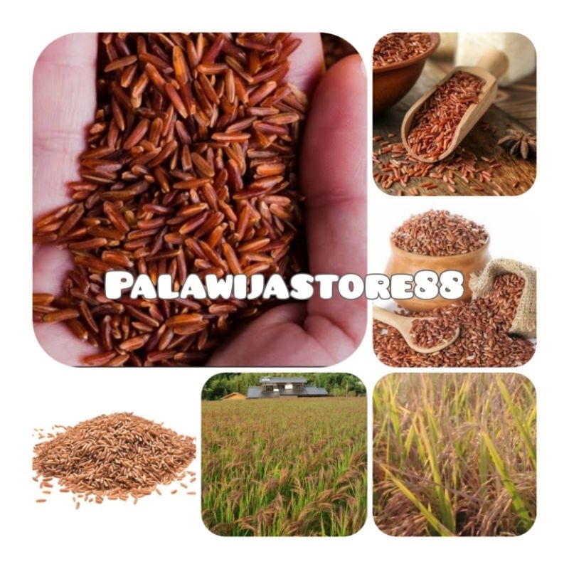 

Gabah beras merah super paket hemat-az