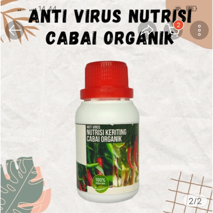 Pupuk Bulai Cabe Organik Atasi Kuning Daun dan Keriting Cebe Pupuk Pelebat Buah Cabe Rawit Penyubur 