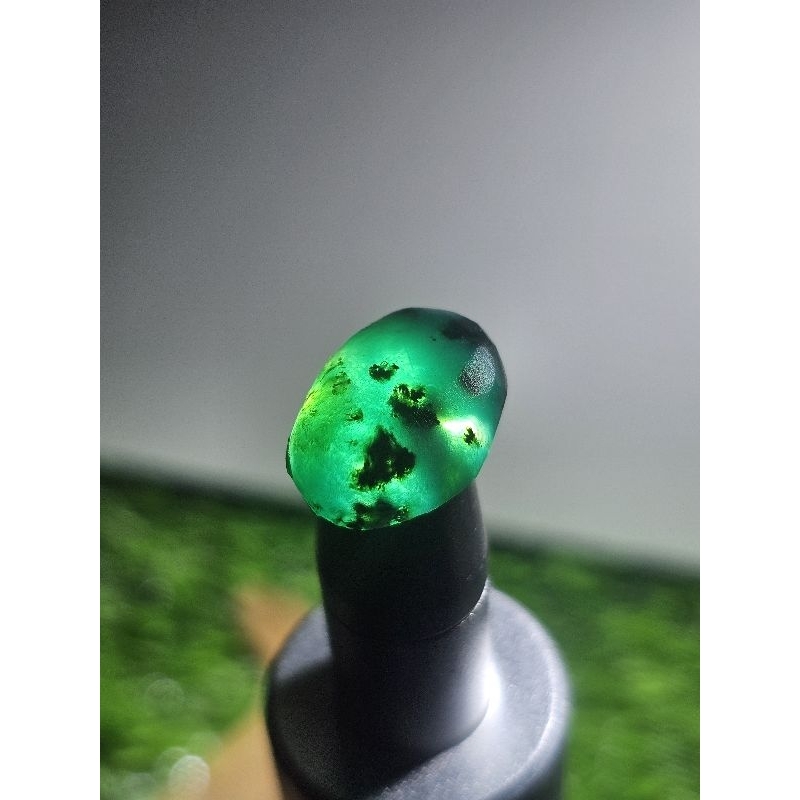 bacan coklat senter tembus +bonus