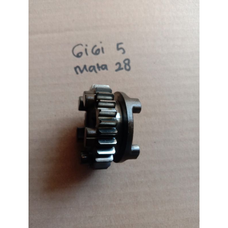 Gigi 5 rasio Tiger mata 28