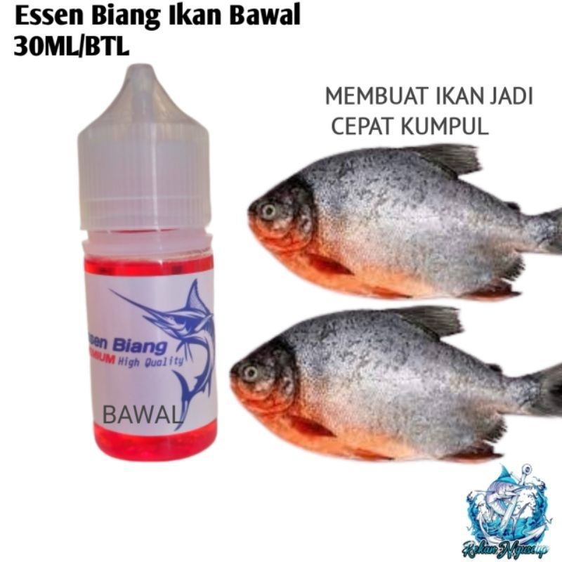 Essen Biang  Khusus Ikan Bawal Paling ampuh