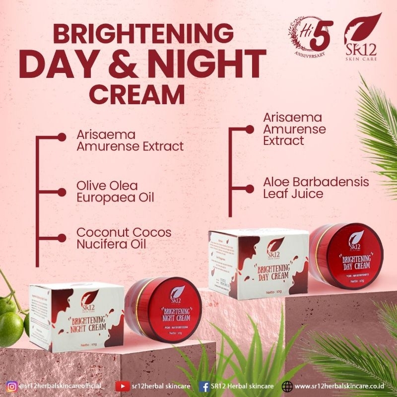 (SR12) DAY BRIGHTENING CREAM SR12 & NIGHT BRIGHTENING CREAM Sr12 | BRIGHTENING CREAM SR12 | KRIM PEN